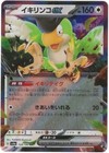 Squawkabilly ex