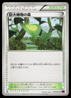 Forest of Giant Plants