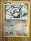 Pidove