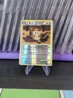 Raticate
