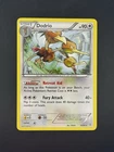 Dodrio
