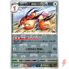 Dodrio