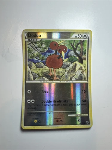 Doduo