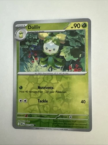 Dolliv