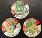 Turtwig
