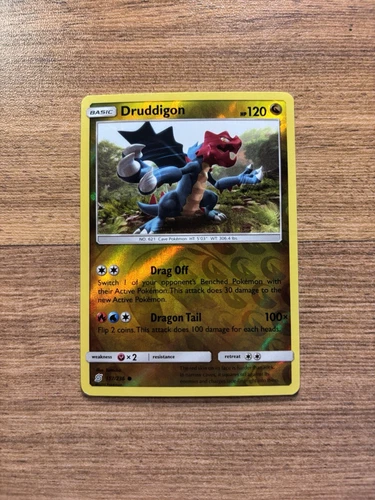 Druddigon