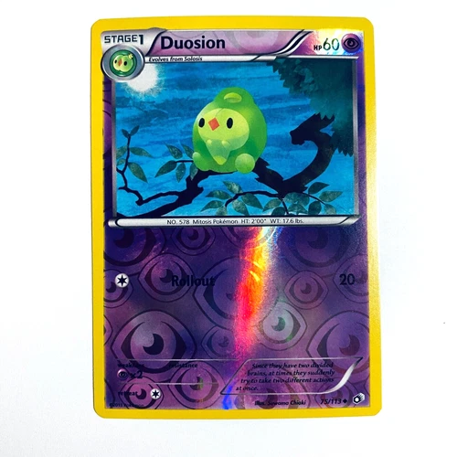 Duosion