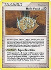 Helix Fossil