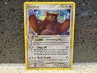 Ursaring
