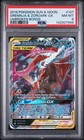 Greninja & Zoroark GX
