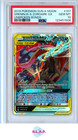 Greninja & Zoroark GX