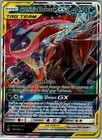 Greninja & Zoroark GX