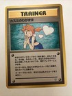 Misty's Wish