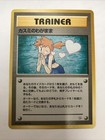 Misty's Wish
