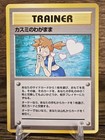 Misty's Wish