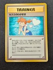 Misty's Wish