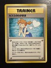 Misty's Wish