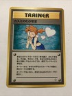 Misty's Wish