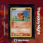 Torchic