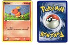Torchic