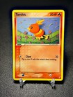 Torchic