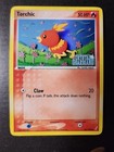 Torchic