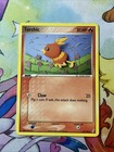 Torchic