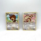 Furret