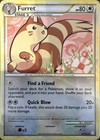 Furret