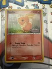 Torchic