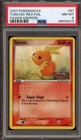Torchic