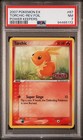 Torchic