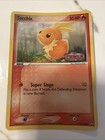 Torchic