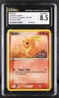 Torchic