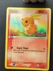 Torchic