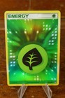 Grass Energy