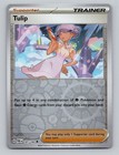 Tulip