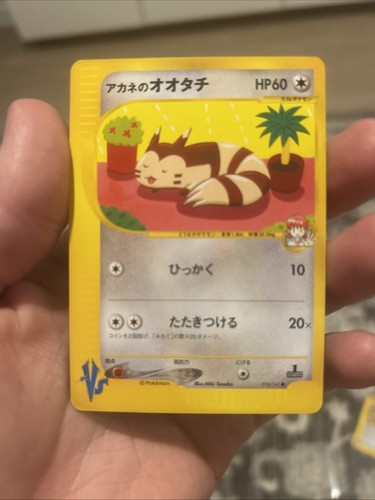 Whitney's Furret