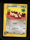 Whitney's Furret