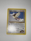Koga's Pidgey