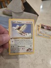 Koga's Pidgey