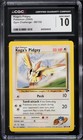 Koga's Pidgey