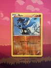 Riolu