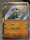 Riolu