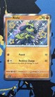 Riolu