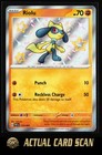 Riolu