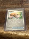 Sacred Ash