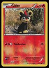 Litleo