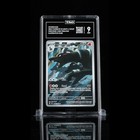 Houndoom EX