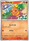 Torchic